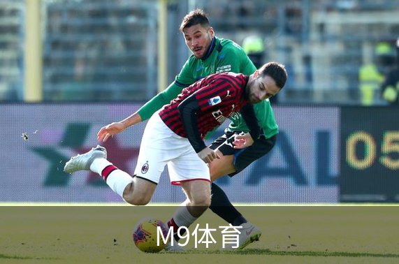 了解M9体育